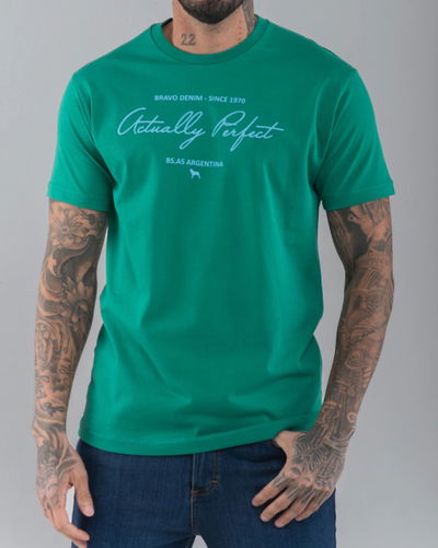 Remera Perfect Verde