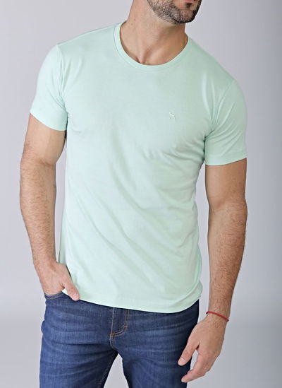 Remera básica verde laguna