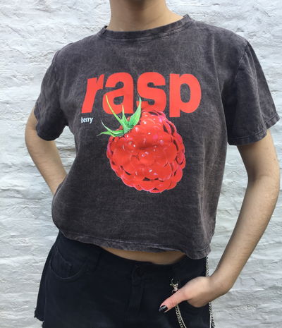 Remera Raspberry 