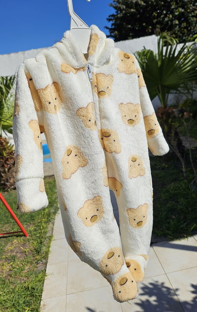 Enterito Teddy