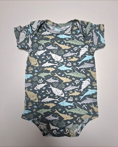 Body Tiburones
