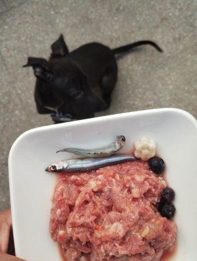 5kg  Vianda barf  PERRO 🐶 Estandar  con hueso