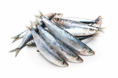 Sardinas
