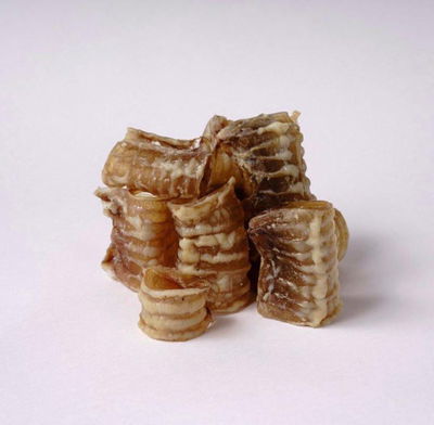 Snacks Traquea