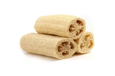 ESPONJA VEGETAL - FUREY 
