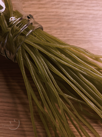 Fideos de arroz de espinaca 