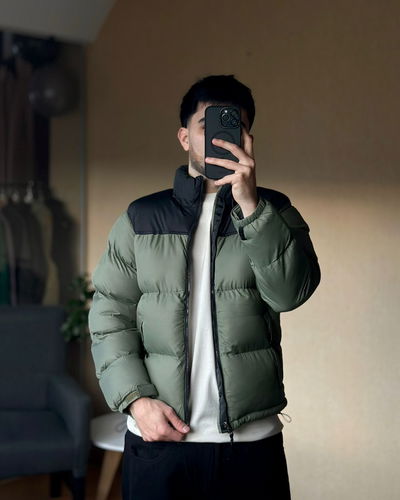 Puffer bicolor