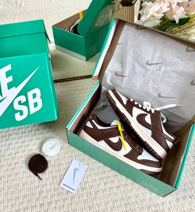 Nike dunk chocolate 