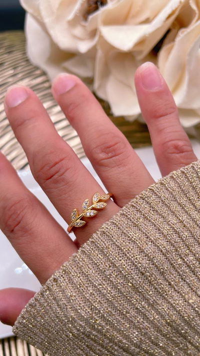 Anillo
