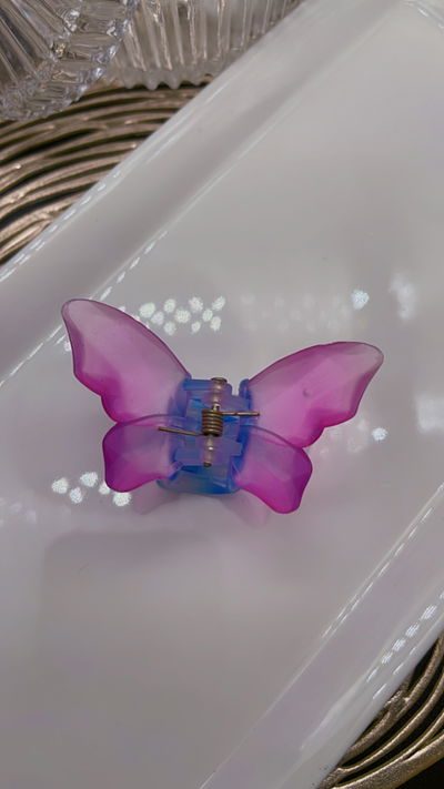 Broche Mariposa