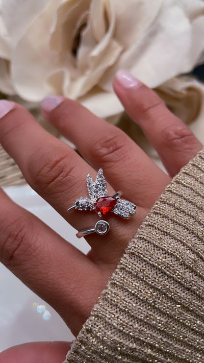 Anillo
