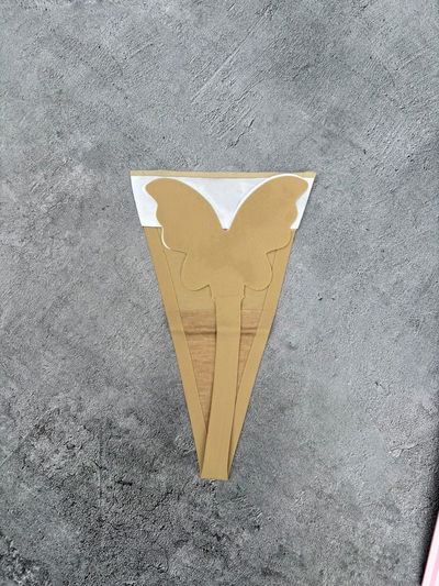 Tanga invisible mariposa piel