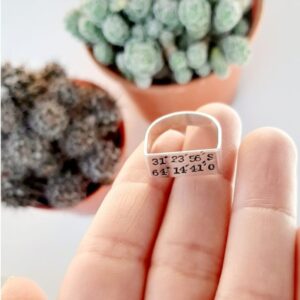 ANILLO COORDENADAS