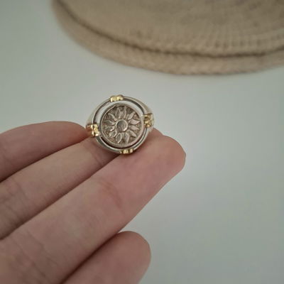 ANILLO GIRATORIO