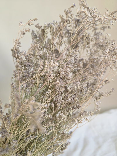 Caspia flor seca