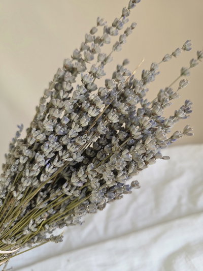 Lavanda flor seca