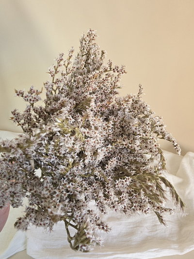 Estrellita flor seca
