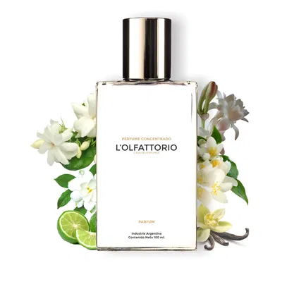 PERFUME EXTRACTO IMPORTADO 100 ML
