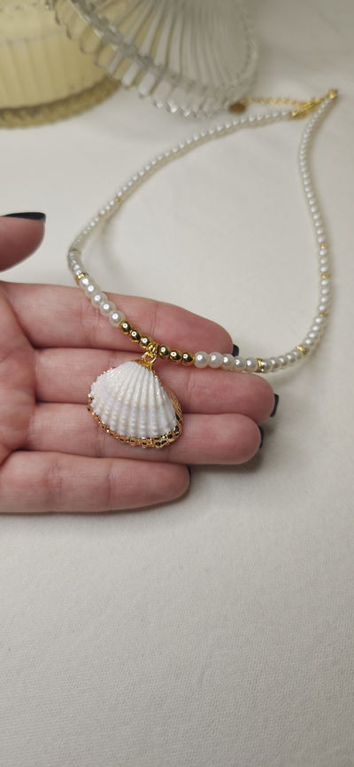 Conjunto MOMENTUM AD