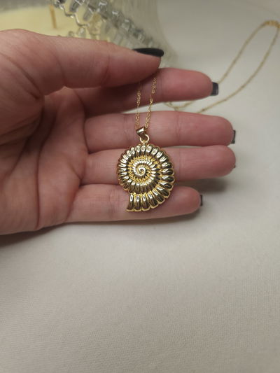 Conjunto Laminado GOLDEN RAY