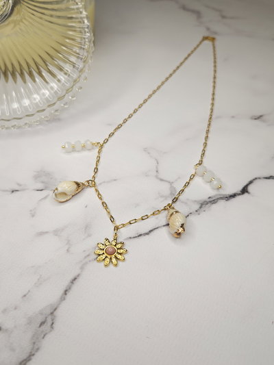 Conjunto AD Multicharms