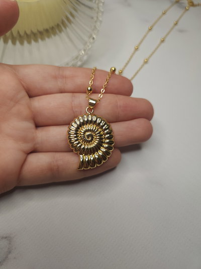 Conjunto Laminado CARACOLA