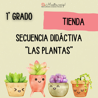 Secuencia "Las plantas" 1° grado. (pdf)