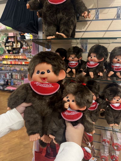 PREVENTA Monchhichi L Y M