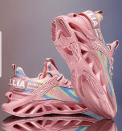 ZAPATOS CHIC  DE MUJER 