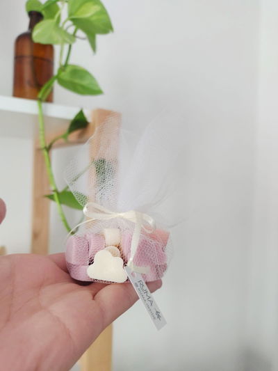 Wax melts