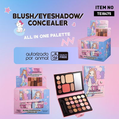 Rubor / Sombras / Corrector All In One Pallette de Tei