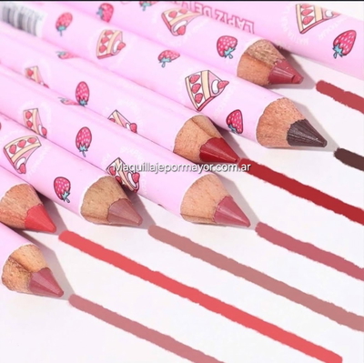 OFERTA Delineador de Labios Saniye