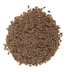 SEMILLA DE PSYLLIUM x 1 kg