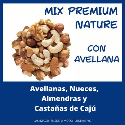 MIX PREMIUM NATURE (CON AVELLANAS, SIN PASAS, SIN MANI)