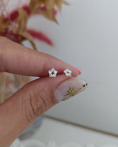 Pasantes Estrella con Cubic 