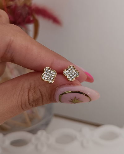 Pasantes Dorados V.C