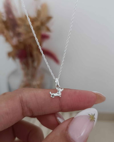 Conjunto Perrito Salchicha 45cm