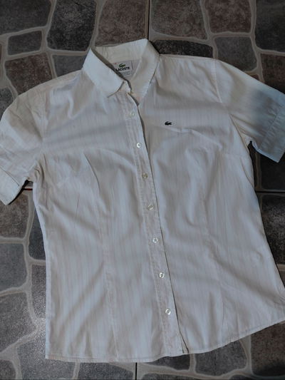 camisa lacoste t2