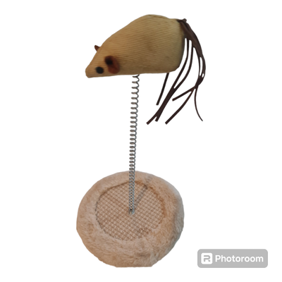 RATON SALTARIN