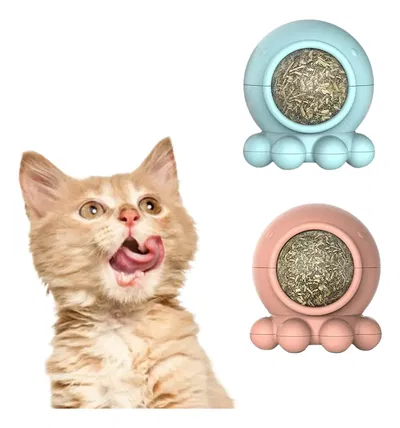 Catnip pulpito
