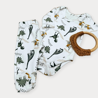 Conjunto ML dinosaurio