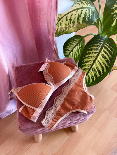SET ANA CAMEL