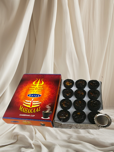 CARBÓN PREMIUM SATYA x12