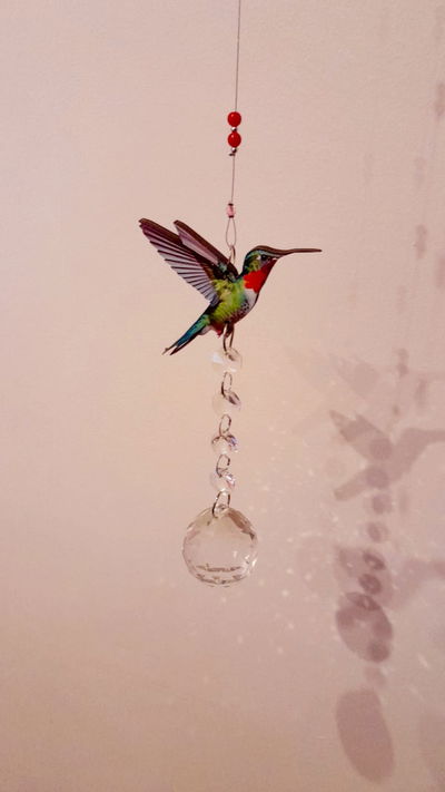 Atrapasoles Colibrí