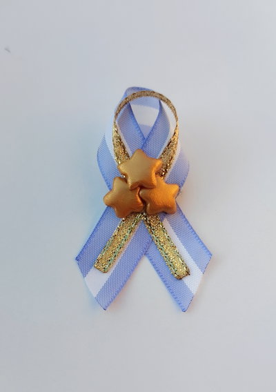 Escarapela Campeones