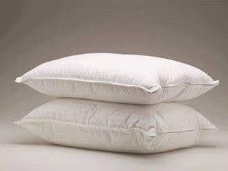 2 Almohadas zip 