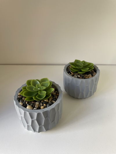 Plantitas decorativas con maceta