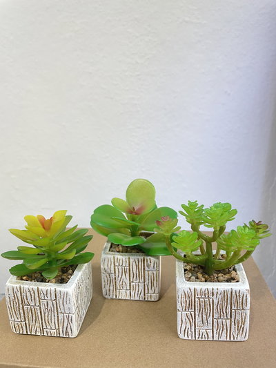 Plantitas artificiales 