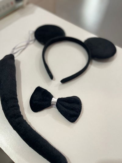 SET DE RATONCITA