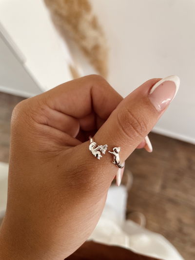 Anillo Gatitos